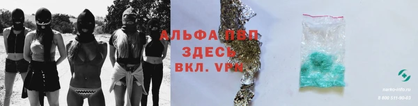 шишки Армянск