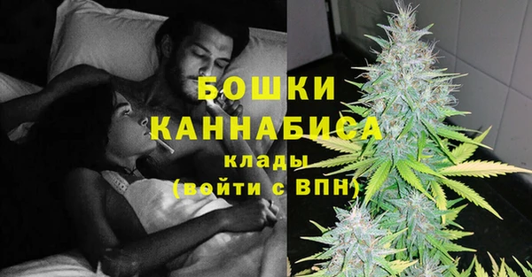 гидра Алексеевка