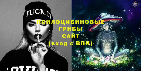 шишки Армянск