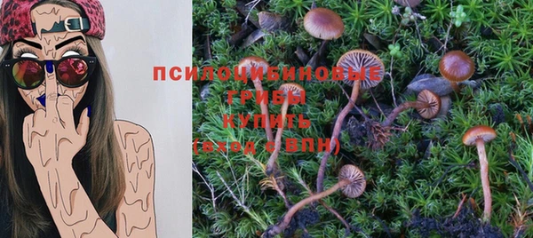 скорость Арсеньев