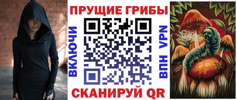 купить  цена  Нея  Псилоцибиновые грибы мицелий 